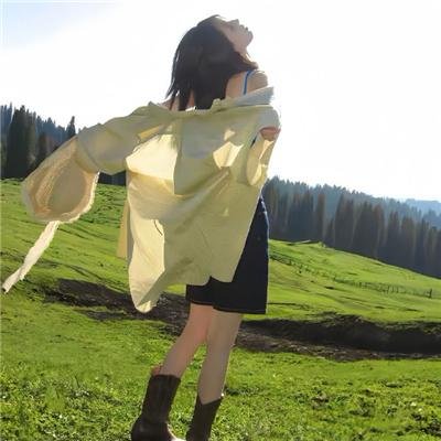 野战兵团海报