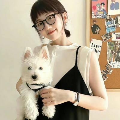 爱斯基摩飞人海报