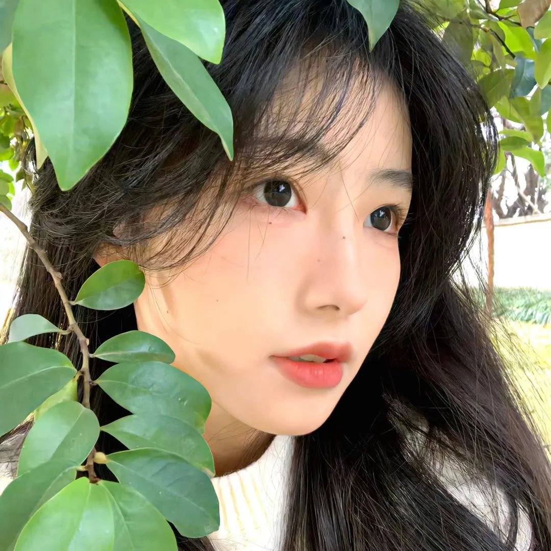 加利亚海报