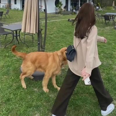 功夫少女吴温蒂海报